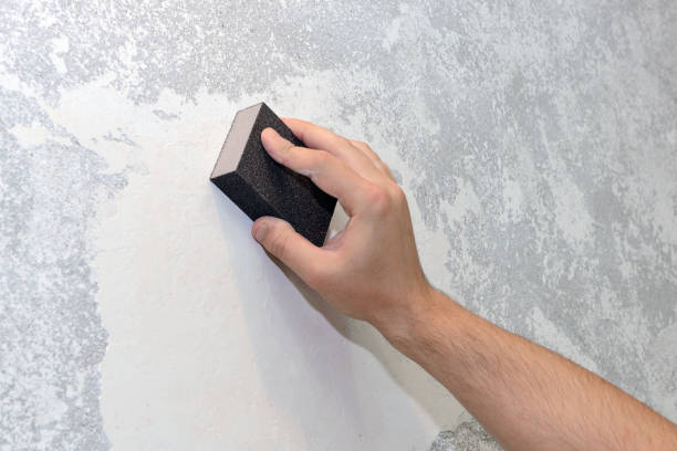 Best Mold Odor Removal Services  in Kaaawa, HI