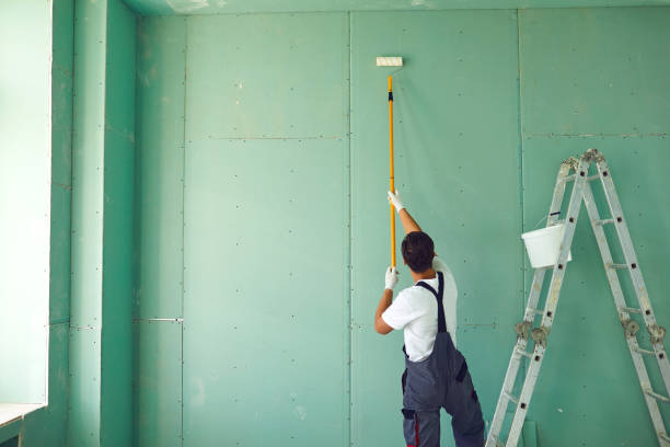 Best Post-Construction Mold Inspection  in Kaaawa, HI