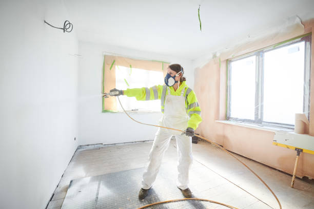 Trusted Kaaawa, HI Mold Removal Experts
