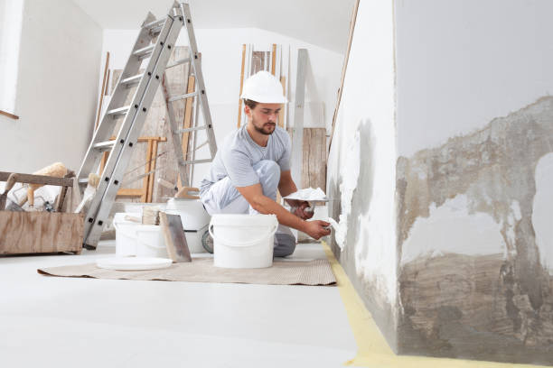 Best Industrial Mold Remediation  in Kaaawa, HI