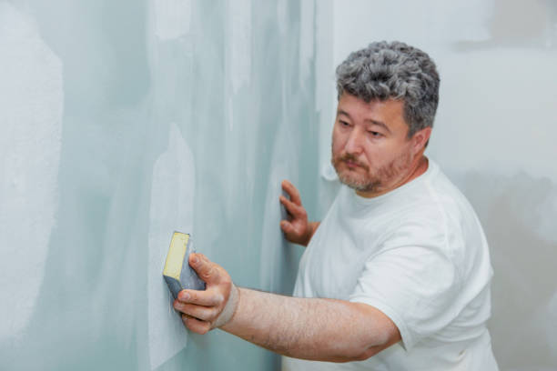 Best Water Damage & Mold Remediation  in Kaaawa, HI