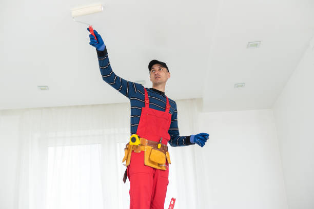 Best Asbestos and Lead Testing During Mold Inspection  in Kaaawa, HI